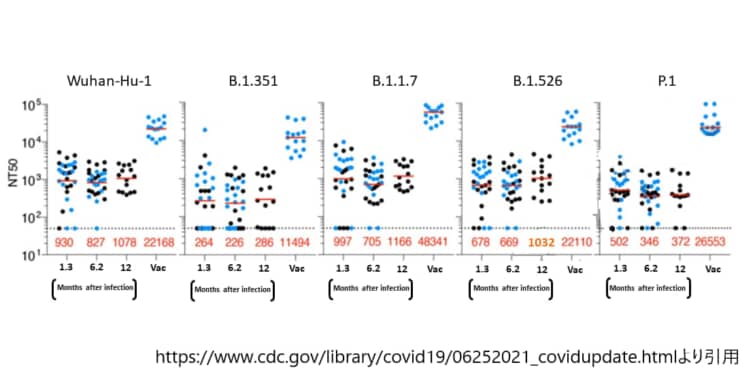 感染から1年後にSARS-CoV-2に対する中和力が自然に高まる